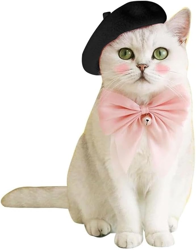 Dog Beret Hats Cats Hats Fashion Four Seasons Funny Comfortable Wool Pet Hat (Black)