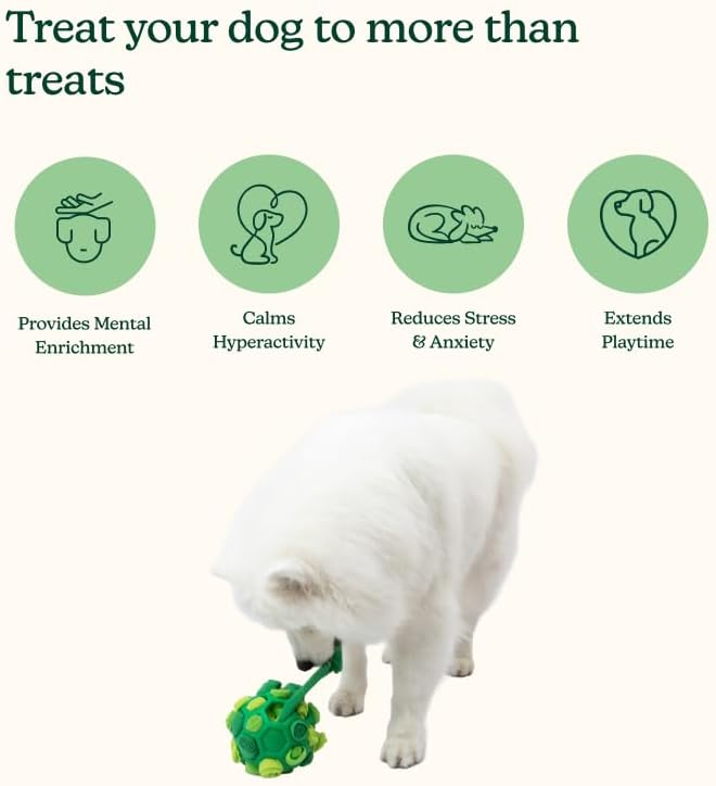 Reggie Forager Ball & Training Treats for Dogs | Enrichment Toy + Healthy Turkey & Pumpkin Training Treats | Reduces Boredom, Stress & Hyperactivity | Low-Calorie, Protein-Packed | 340 Treats