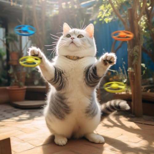 Flying Cat Toys, Interactive Cat Fetch Toy with 1 Light Up Spinning Tops, and 5 Flying Propellers, Flying dis Toy for Hunting Chasing Indoor/Outdoor