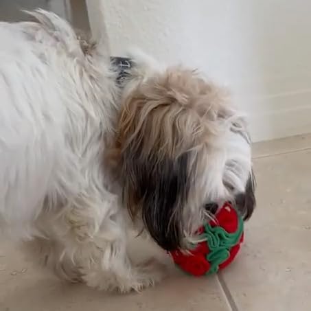 Glory To Dog Puppy and Medium Breed Snuffle Interactive Foraging Dog Puzzle Ball Toy Christmas Green and Red Large