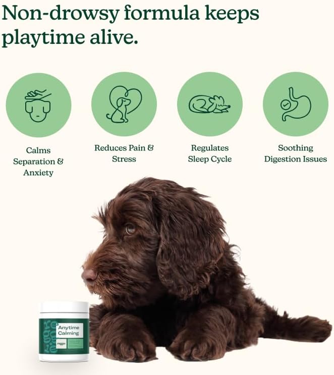 Reggie Anytime Calming Chews for Dogs | Natural Anxiety Relief with L-Theanine & Magnolia Barks | Calming Dog Treats for Separation Anxiety, Thunderstorms, Travel & Stress | 120 Soft Chews