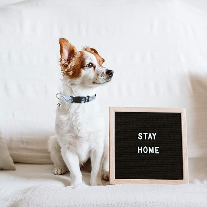 PUPTECK Adjustable Dog Harness Collar and Leash Set Step in No Pull Pet Harness for Small Medium Dogs Puppy and Cats Outdoor Walking Running, Soft Mesh Padded Reflective Vest Harnesses, Blue XS