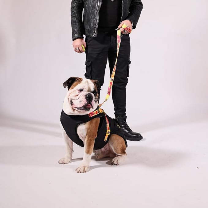 Generic Pawlook Dog Raincoat with Chest Leash and Collar, Reusable Waterproof Pet Coat for Small Dogs, Medium Dogs, Large Dogs (Black, Medium)