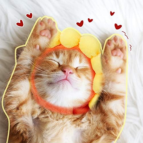 Weewooday 5 Pieces Cat Costume Christmas Bunny Hat Outfit with Ears Funny Cat Hat and Small Dogs Kitten Puppy Party Christmas Easter Costume Accessory Headwear(Cute Style)