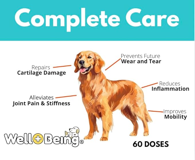 Well-Being for Dogs Joint Health Supplement, Contains Glucosamine, Plus Chondroitin, Collagen and MSM, Professional Grade Wellness Supports Healthy Joints, For All Breeds and Sizes, 60 Doses