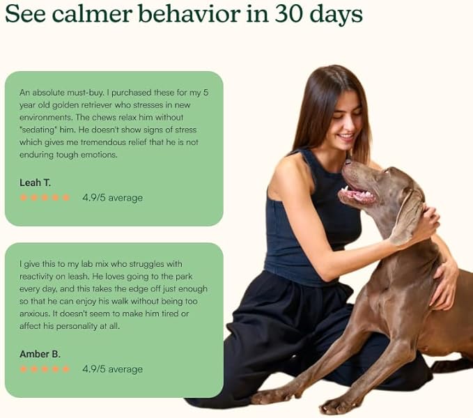 Reggie Anytime Calming Chews for Dogs | Natural Anxiety Relief with L-Theanine & Magnolia Barks | Calming Dog Treats for Separation Anxiety, Thunderstorms, Travel & Stress | 60 Soft Chews