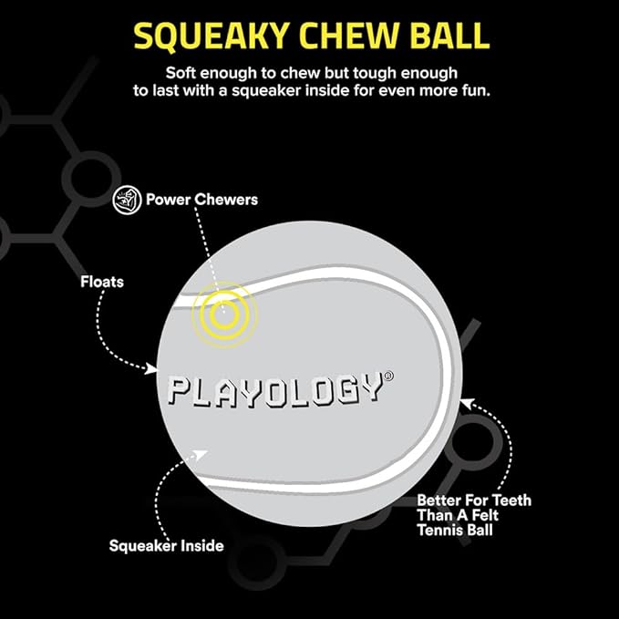 Playology Dog Toys | Squeaky Chew Ball - Bouncy Durable Floating Fetch Ball for Dogs, Value 2-Pack | Medium Chicken Scented Toy - Easy to Clean and Made from Non Toxic Materials