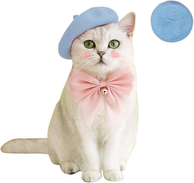 Dog Beret Hats Cats Hats Fashion Four Seasons Funny Wool Winter Pet Hat (Blue)