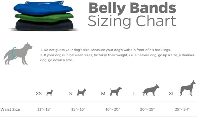 Pet Parents® Washable Belly Bands for Male Dogs (3pack) + Extendrs® of Durable Dog Diapers Male, Premium Male Dog Diapers & Dog Wraps (Medium, Gentlemen)