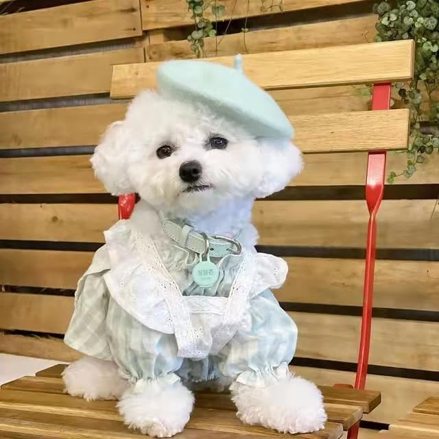 Dog Beret Hats Cats Hats Fashion Four Seasons Funny Wool Winter Pet Hat (Light Green)