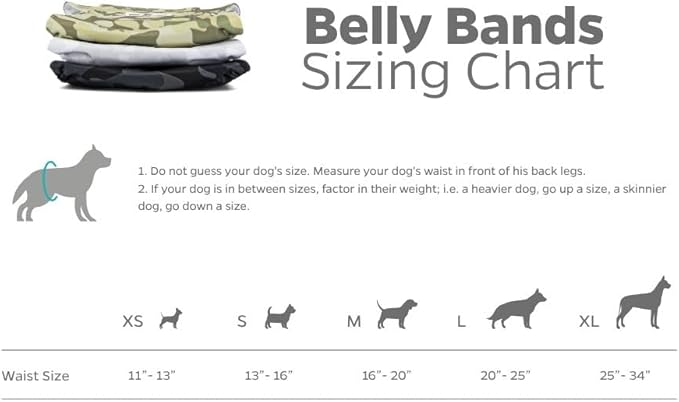 Pet Parents® Washable Belly Bands for Male Dogs (3pack) + Extendrs® of Durable Dog Diapers Male, Premium Male Dog Diapers & Dog Wraps (X-Small, Camo)