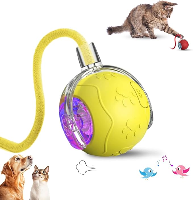 Interactive Cat Toys for Indoor Cats, 2026 New Smart Interactive Pet Toy Ball, Cat Toys for Bored Indoor Cats, Smart Rolling Ball for Dogs & Cats (Yellow)