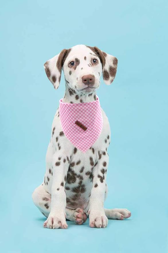 Lionet Paws Dog Bandana Washable Cotton Handkerchief Scarf Triangle Bandana for Small Medium Large Dogs Pink Grid