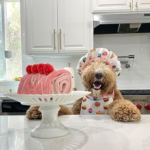 CHEWFFON Dog Enrichment Toys, Dog Puzzle Interactive Toy, Puppy Birthday Cake Toy for Boredom and Stimulating, Slow Feeding Snuffle Mat Crinkle Gift for Small and Medium Dogs