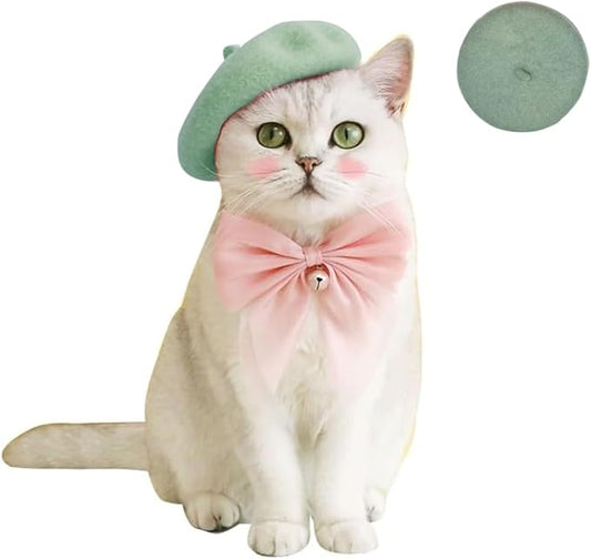 Dog Beret Hats Cats Hats Fashion Four Seasons Funny Wool Winter Pet Hat (Light Green)