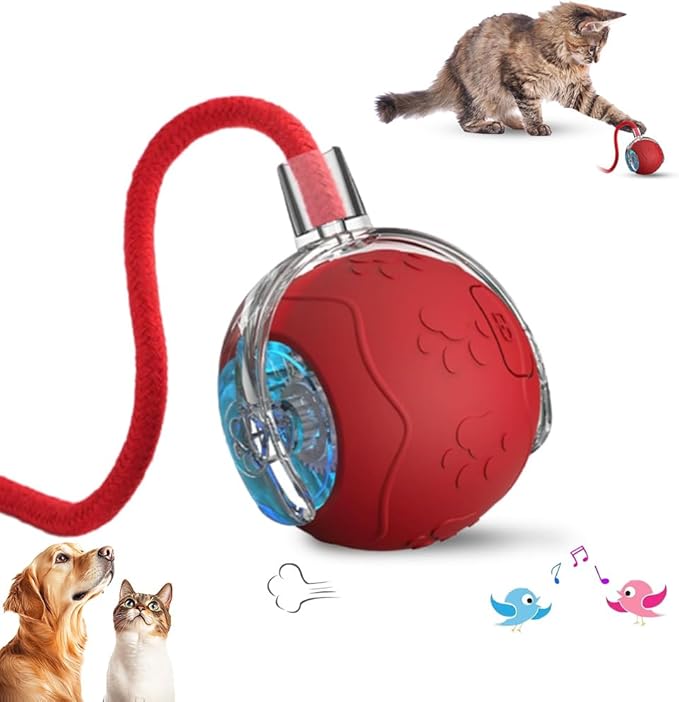 Interactive Cat Toys for Indoor Cats, 2026 New Smart Interactive Pet Toy Ball, Cat Toys for Bored Indoor Cats, Smart Rolling Ball for Dogs & Cats (Red)