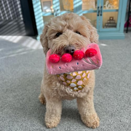 CHEWFFON Dog Enrichment Toys, Dog Puzzle Interactive Toy, Puppy Birthday Cake Toy for Boredom and Stimulating, Slow Feeding Snuffle Mat Crinkle Gift for Small and Medium Dogs