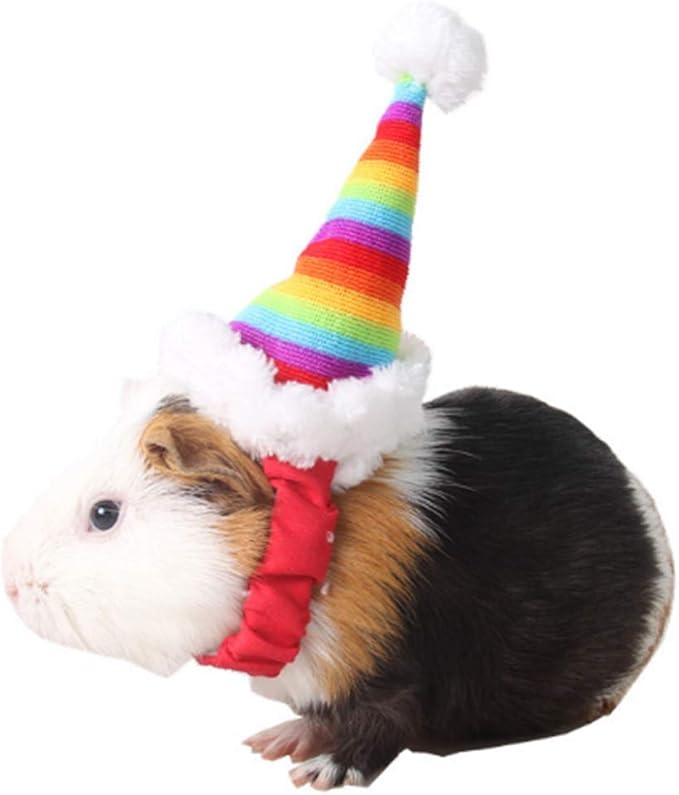 ANIAC Christmas Hamster Hats Guinea Pig Costume Mini Santa Hat for Kitten Chinchilla Rabbit Bunny Hedgehog Ferret Squirrel Rats Duck Newborn Puppy…