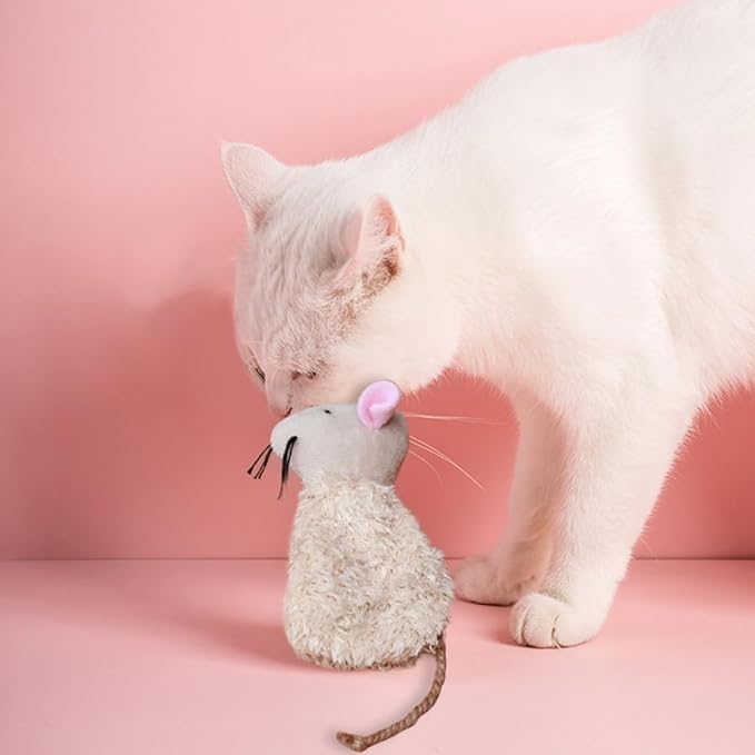 3pcs Refillable Catnip Toys for Cats, Refillable Catnip Cat Toy Teething for Puppie Kittens, Cartoon Doll for Kittens Teething and Playtime Fun