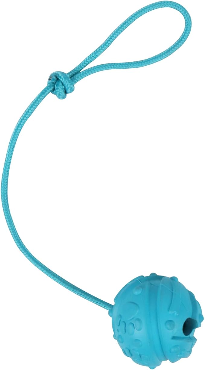 Dog Training Ball on Rope, 2Pcs Dog Rope Toys for Chew Training, Pull Throw and Fetch