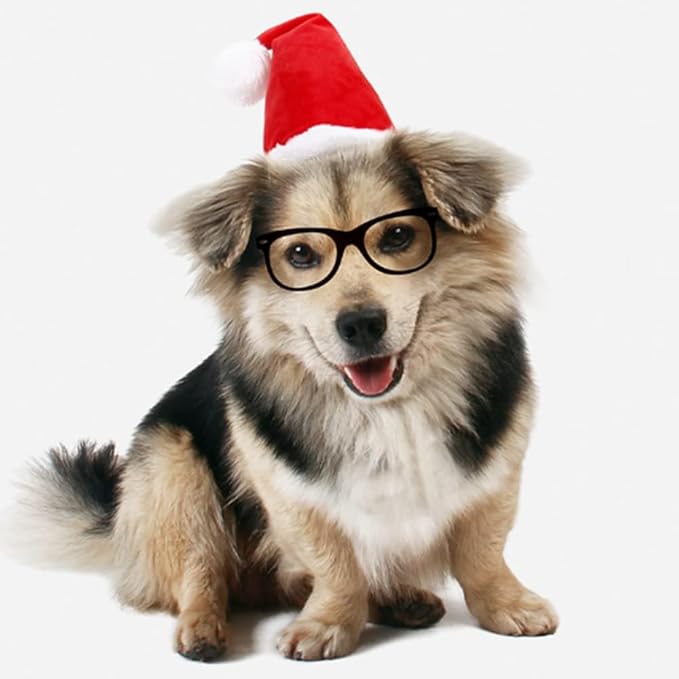 ANIAC Adjustable 3D Christmas Dog Hat for Small Dogs Cat Santa Hat Puppy Santa Costume…