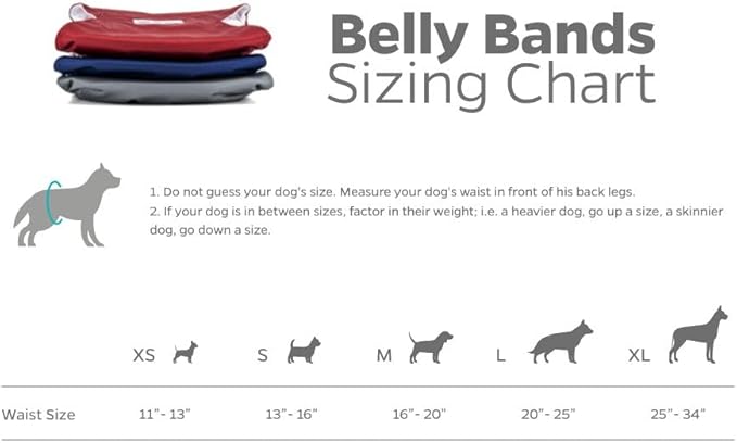 Pet Parents® Washable Belly Bands for Male Dogs (3pack) + Extendrs® of Durable Dog Diapers Male, Premium Male Dog Diapers & Dog Wraps (Small, Kingsmen)