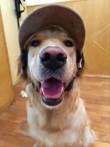 Pet Dog Baseball Cap Sport Cap Hat - Outdoor Hat Sun Protection Summer Cap for Small Medium Large Dog (Small Cap, Brown)
