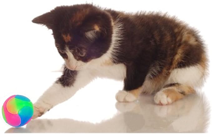 FineInno 4 pcs Light Up Dog Balls Flashing Elastic Ball Glow in The Dark Interactive Pet Toys for Puppy, Cats, Dogs