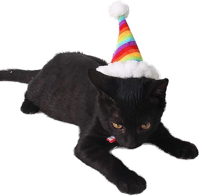 ANIAC Christmas Hamster Hats Guinea Pig Costume Mini Santa Hat for Kitten Chinchilla Rabbit Bunny Hedgehog Ferret Squirrel Rats Duck Newborn Puppy…