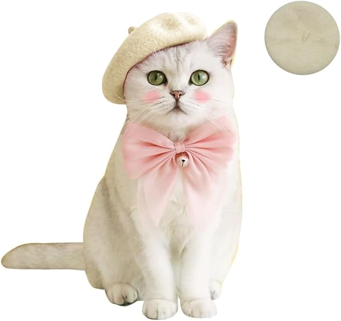 Dog Beret Hats Cats Hats Fashion Four Seasons Funny Wool Winter Pet Hat (White)