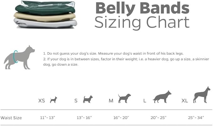 Pet Parents® Washable Belly Bands for Male Dogs (3pack) + Extendrs® of Durable Dog Diapers Male, Premium Male Dog Diapers & Dog Wraps (Small, Spruce)