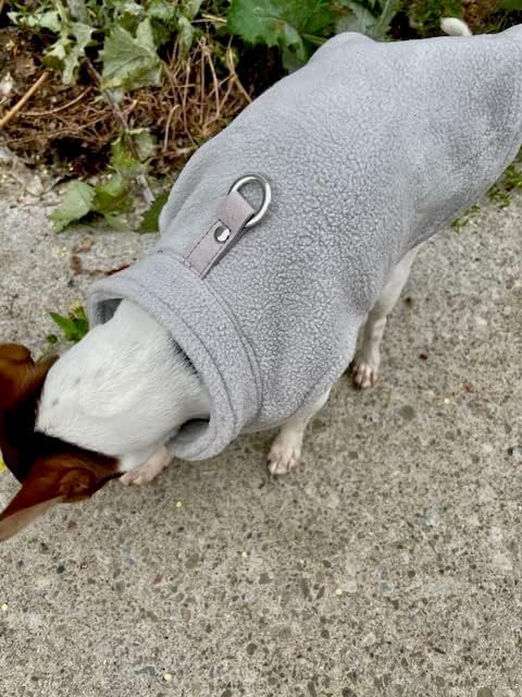 JACKO & CO - Fleece Vest Dog Sweater with Leash Ring - Soft, Warm & Lightweight Pullover Coat for Small & Medium Dogs, Puppies & Cats - Cozy Fall/Winter/Spring Pet Jacket (Grey, X-Small 2-4lbs)