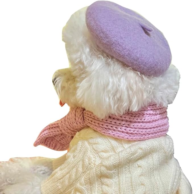 Dog Beret Hats Cats Hats Fashion Four Seasons Funny Wool Winter Pet Hat (Light Purple)