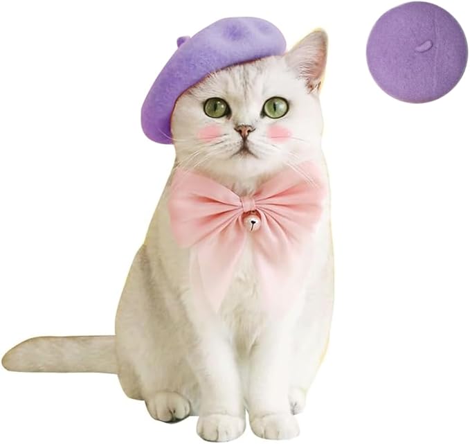 Dog Beret Hats Cats Hats Fashion Four Seasons Funny Wool Winter Pet Hat (Light Purple)
