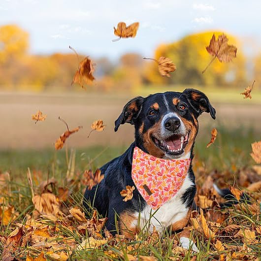 Lionet Paws Cotton Dog Bandanas,Pink Yellow Leaves Comfortable Dog Bandana Bibs Scarf Dogs Kerchief,Autumn Scarves for Small Medium Dogs Pets