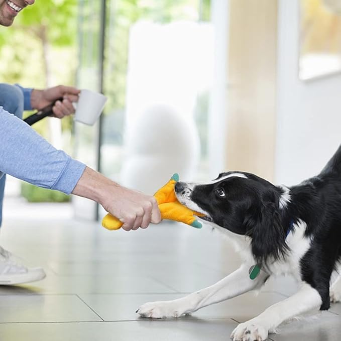 No Stuffing Dog Toys - 5 Pack Squeaky Crinkle Plush Set for Puppy Teething, Durable Chew Toys for Small Medium Dogs, Cute Holiday Pet Toys for Playing Training Reducing Boredom