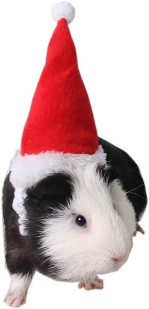 ANIAC Christmas Hamster Hats Guinea Pig Costume Mini Santa Hat for Kitten Chinchilla Rabbit Bunny Hedgehog Ferret Squirrel Rats Duck Newborn Puppy…