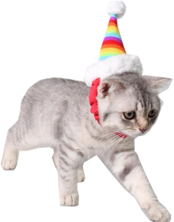 ANIAC Christmas Hamster Hats Guinea Pig Costume Mini Santa Hat for Kitten Chinchilla Rabbit Bunny Hedgehog Ferret Squirrel Rats Duck Newborn Puppy…