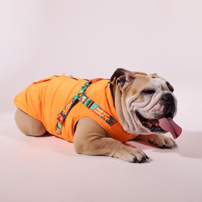 Generic Pawlook Dog Raincoat with Chest Leash and Collar, Reusable Waterproof Pet Coat for Small Dogs, Medium Dogs, Large Dogs (Orange, Small)