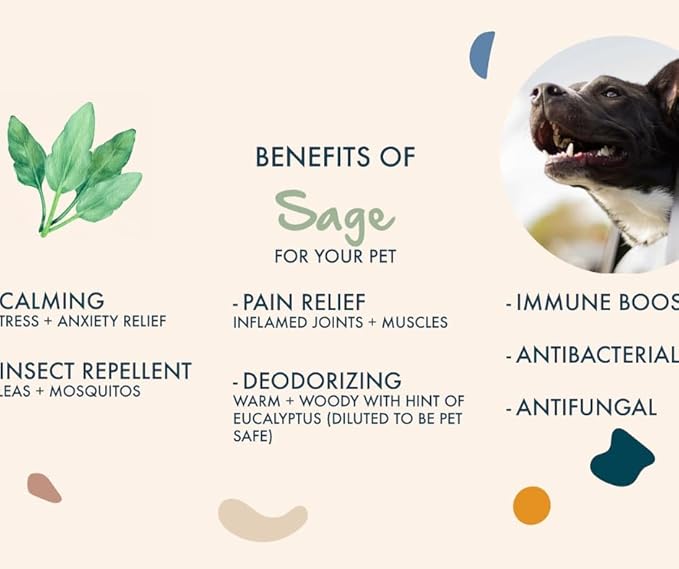 Cedarwood + Sage Shampoo and Conditioner Set, warm & herbal sage fuse with hints of camphor & eucalyptus in cedarwood, Formulated for All Pets, Gentle and Cleansing, Made in USA 16 fl oz