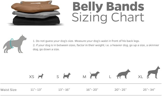 Pet Parents® Washable Belly Bands for Male Dogs (3pack) + Extendrs® of Durable Dog Diapers Male, Premium Male Dog Diapers & Dog Wraps (Medium, Natural)