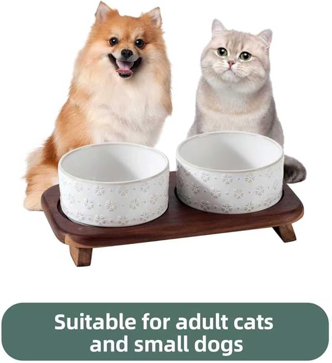 3.6cups Raised Double Cat Bowls Set with Acacia Wood Stand, Wide Whisker Friendly Ceramic Food & Water Bowls for Cats, Puppy, Kitty, Pet Bowl(Double Bowls+Stand, Arctic White)