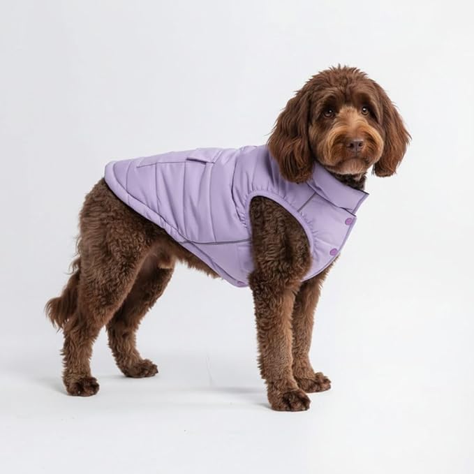 Spark Paws Dog Winter Jacket, Water-Resistant Coat, Warm Reflective Windproof Fleece-Interior, for Medium and Large Dogs - Lilac - XXL