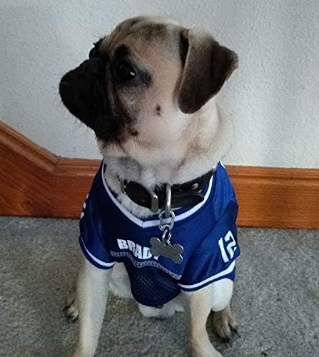 Klippy Pet Tag Quick Clip for Dogs and Cats, Blue