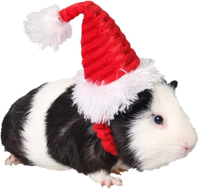 ANIAC Christmas Hamster Hats Guinea Pig Costume Mini Santa Hat for Kitten Chinchilla Rabbit Bunny Hedgehog Ferret Squirrel Rats Duck Newborn Puppy…