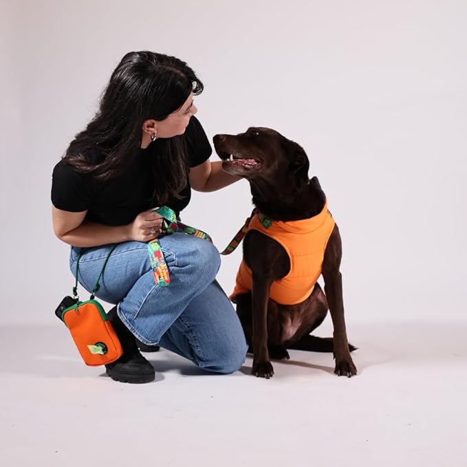 Generic Pawlook Dog Raincoat with Chest Leash and Collar, Reusable Waterproof Pet Coat for Small Dogs, Medium Dogs, Large Dogs (Orange, Large)