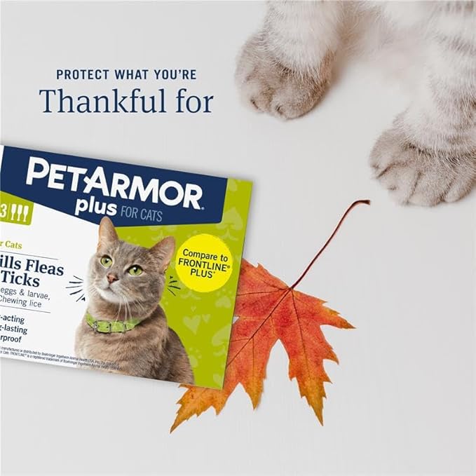 PetArmor Plus Flea and Tick Prevention for Cats over 1.5 lbs, Cat Flea and Tick Treatment, 6 Doses, Waterproof Topical, Fast Acting