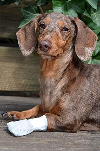 Medimitt Paw Bandages for Dogs, Cats and Pets – Stretchy Medical Booties, First Aid for Paws – Non Slip, Non Adhesive, Breathable, Disposable, Washable, Adjustable Strap, Value Pack (Medium 20-Pack)