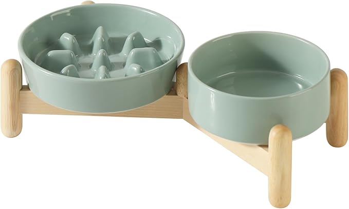 Ceramic 0.9 Cup Raised Slow Feeder Dog Bowl Set, Elevated 5.1inch Bowl and 6.1inch Slow Pet Food Dish with Wooden Stand for Small Dog and Cat (2 x Light Green+ Stand)