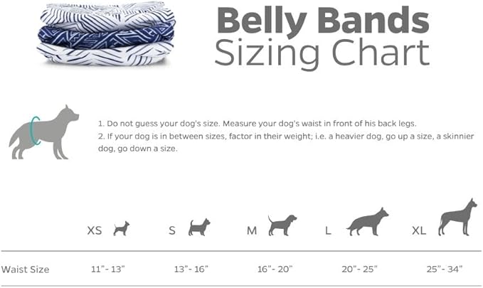 Pet Parents® Washable Belly Bands for Male Dogs (3pack) + Extendrs® of Durable Dog Diapers Male, Premium Male Dog Diapers & Dog Wraps (X-Large, Kahuna)